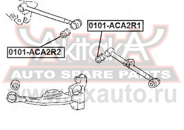   0101-ACA2R1 AKITAKA.