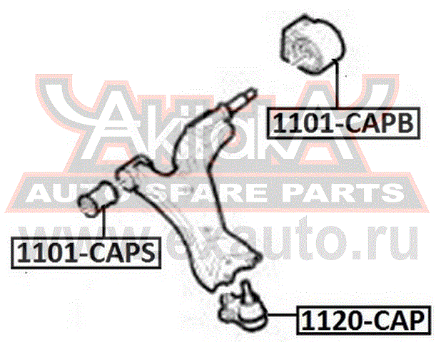   1101-CAPB AKITAKA.