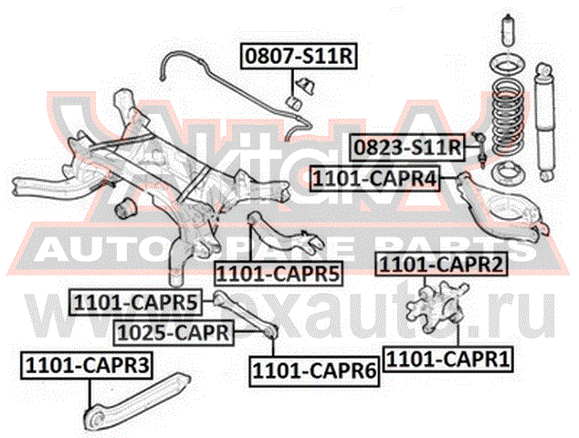   1101-CAPR1 AKITAKA.