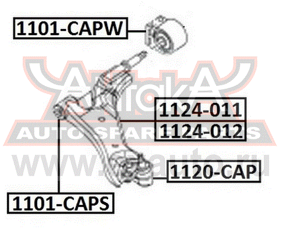   1101-CAPW AKITAKA.