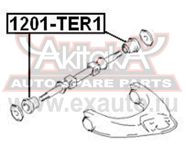   1201-TER1 AKITAKA.