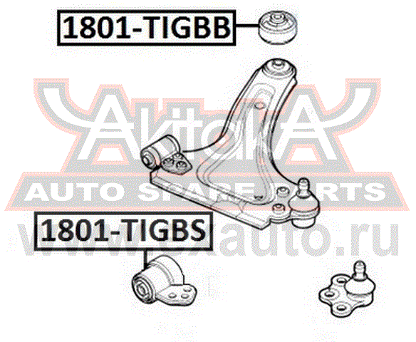   1801-TIGBS AKITAKA.